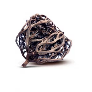 Rose de Jericho / chajarat mariam