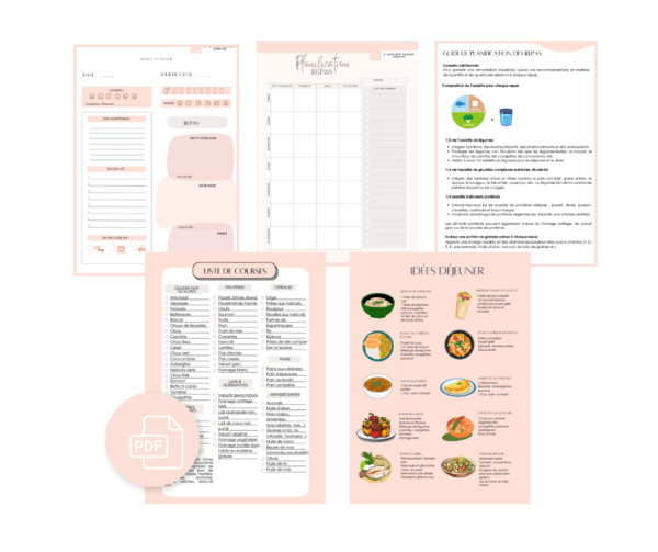 Mon Journal & Planner SOPK – Image 3