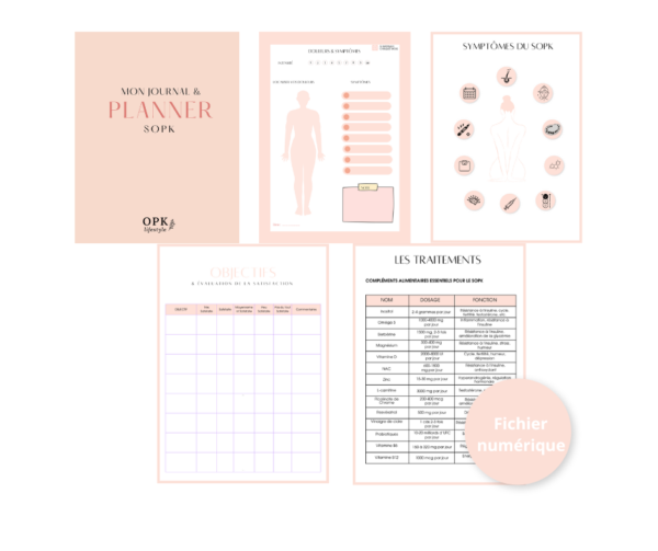 Mon Journal & Planner SOPK – Image 2